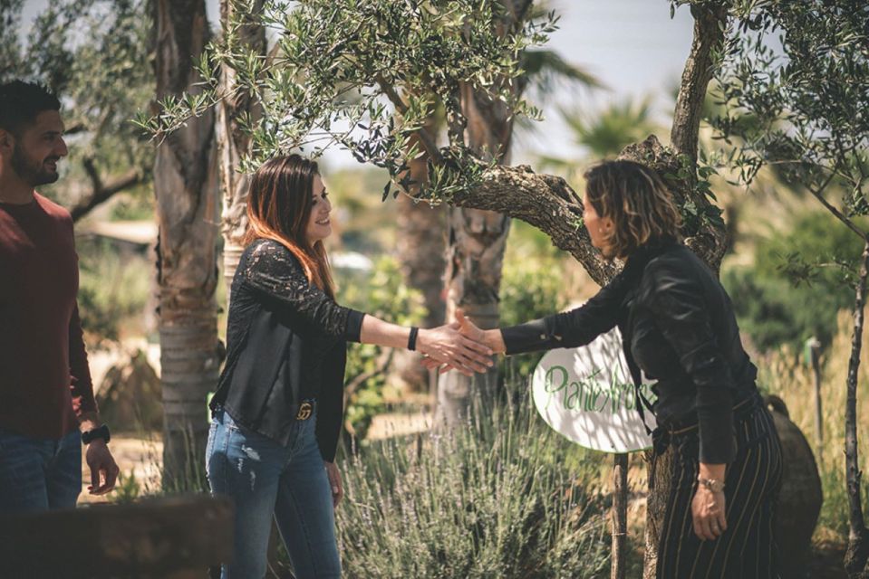 Partinico: Historic Sicilian Vineyard & Wine Tasting Tour - Tour Highlights
