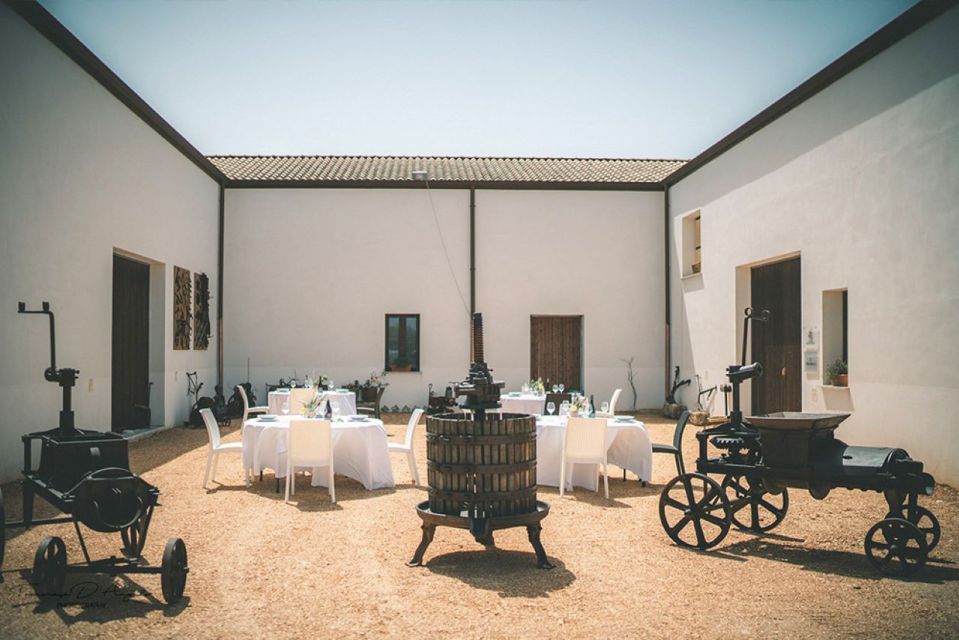 Partinico: Historic Sicilian Vineyard & Wine Tasting Tour - Exploring the Historic Winery
