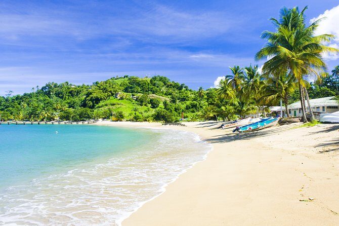 Partlatuvier Bay Day Trip with Lunch - Introduction: Why This Tour Might Be Your Perfect Tobago Escape
