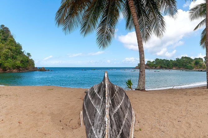 Partlatuvier Bay Day Trip with Lunch - Transportation and Group Size: Why It Matters