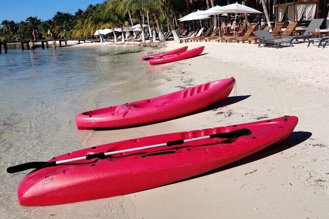 Party at Isla Mujeres Catamaran Open Bar! Half-Day Luxury Tour - Authentic Traveler Insights