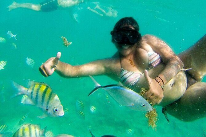 Party Boat - Private groups, snorkeling - Open Bar. - Final Words