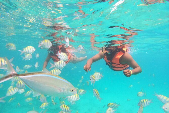 Party Boat Punta Cana - Final Verdict