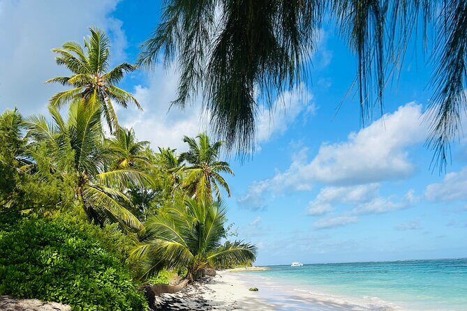 Party Boat Punta Cana Public or Private and Open Bar - FAQs