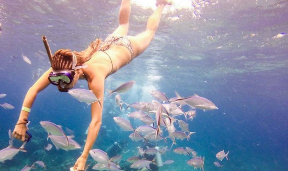 Party Boat + Snorkeling For Small Group Half Day Tour - Key Points