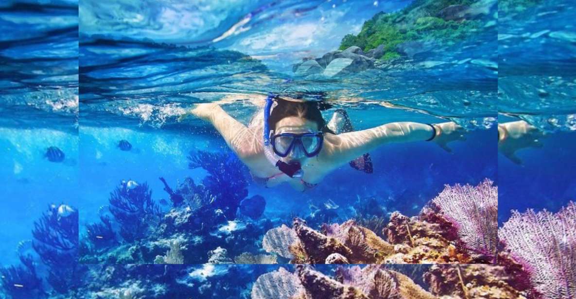 Party Boat + Snorkeling For Small Group Half Day Tour - Itinerary Highlights