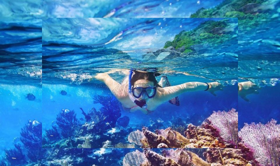 Party Boat + Snorkeling For Small Group Half Day Tour - Included Amenities