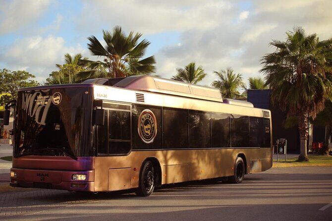 Party Bus Rental - Introduction: What’s the Buzz About the Party Bus Rental in Punta Cana?