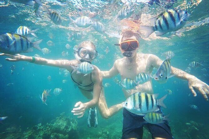 Party Catamaran Cruise with Open Bar and Snorkeling Montego Bay - FAQ