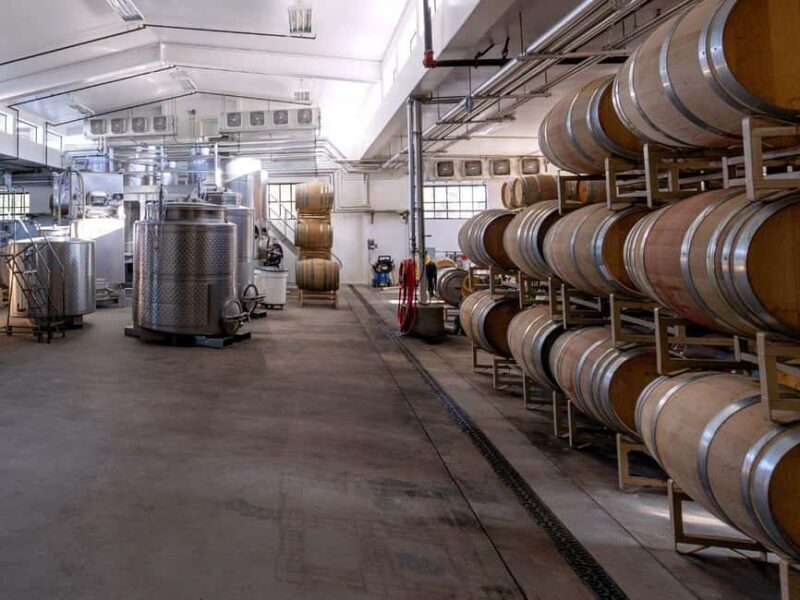 Paso Robles & Atascadero: 3-Winery Tour Including Lunch - Authentic Reviews and Insights