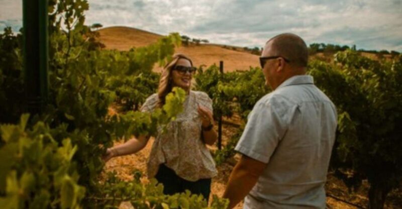 Paso Robles: Grapevine Getaway Exclusive Wine Tour - Practical Tips for Making the Most of the Tour