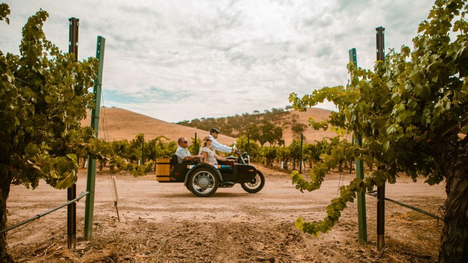 Paso Robles: Sidecar Deluxe Wine Tour With Tastings - Wine Tastings at Local Vineyards