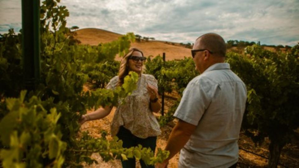Paso Robles: Sidecar Premier Wine Tour With Tastings - Vintage Sidecar Experience
