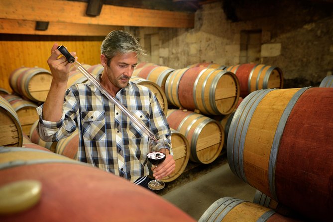 Paso Robles Wine Adventure With Pickup From San Luis Obispo, CA - Picnic Lunch and Accessibility