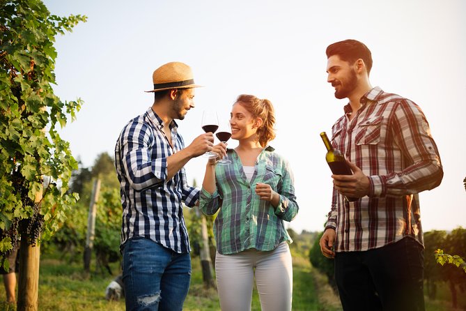 Paso Robles Wine Adventure With Pickup From San Luis Obispo, CA - Sum Up
