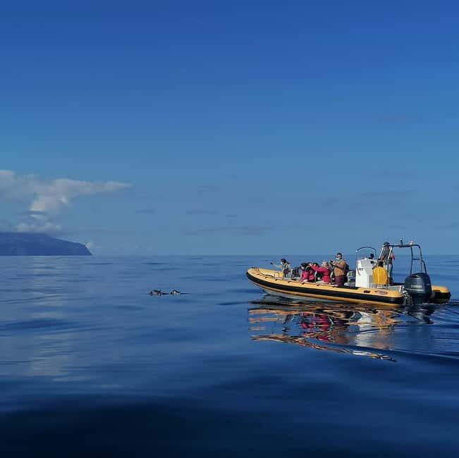 Passeios Turísticos: Trip to Corvo by Boat - Introduction: A Boat Trip That Promises Seaside Wonders