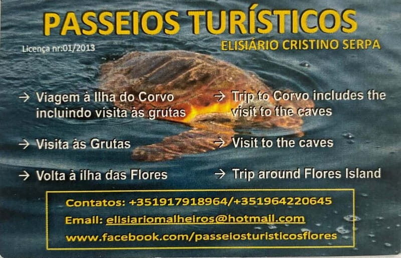 Passeios Turísticos: Trip to Corvo by Boat - Key Points