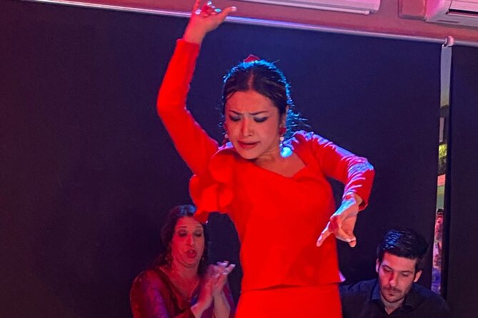 Passion: The Story of the Flamenco Show in Marbella - Flamenco Show Reviews and Ratings
