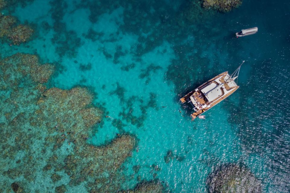 Passions of Paradise Be A Marine Bio for the Day! - Not Suitable For