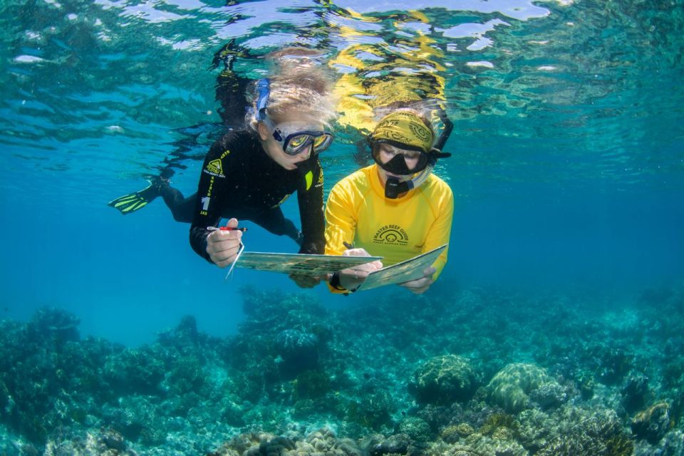 Passions of Paradise Be A Marine Bio for the Day! - Marine Conservation Training