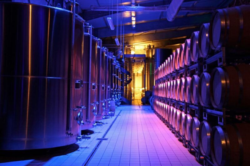 Passy-Grigny: Chocolate and Champagne Tasting Tour - Customer Feedback and Booking Information
