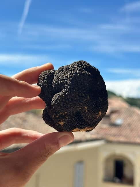Pasta-Making & Truffle Class with Wine Included - FAQs