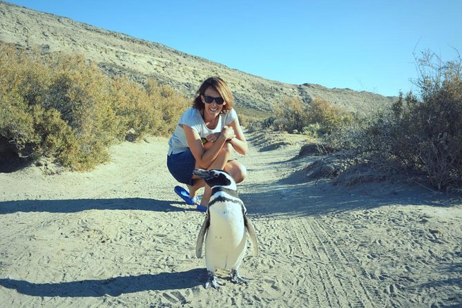 Patagonia Ranch and El Pedral Penguin Colony Tour From Puerto Madryn - Good To Know