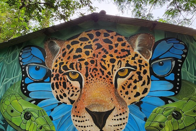 Pataxó Indigenous Village + Cedro Island + Waterfall by JANGO TOUR - Health and Accessibility