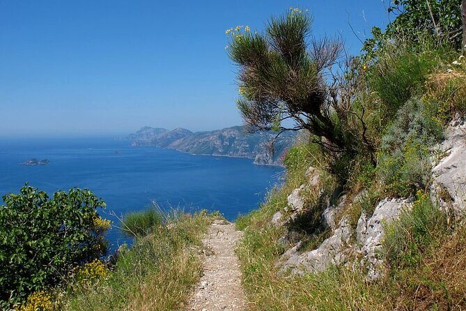 Path of the God and Positano Amalfi private tour - Price and Value