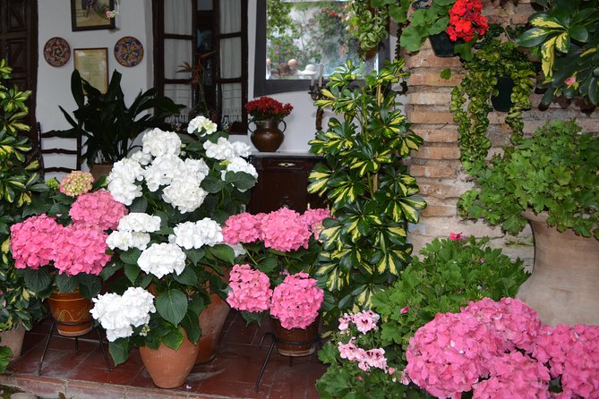 Patios & Perfums of Cordoba Festival Tour - Highlights of the Festival