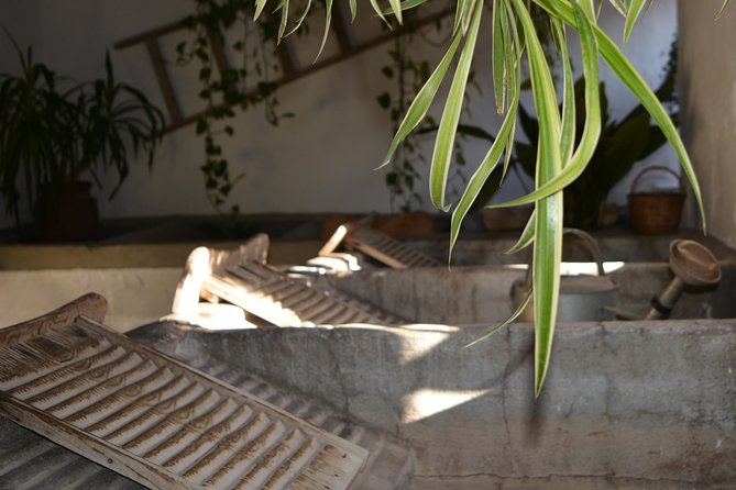 Patios & Perfums of Cordoba Festival Tour - Reviews and Traveler Feedback