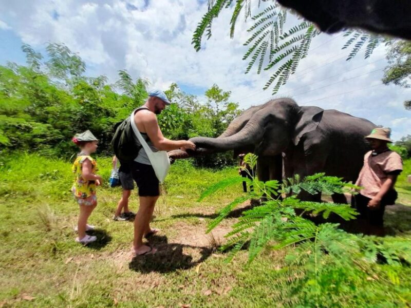 Patong: Ethical Elephant Eco Guide Walk & Forage Tour - Key Points