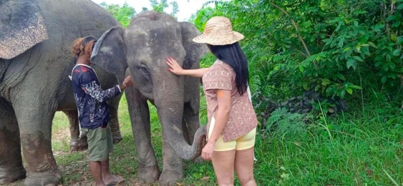 Patong: Ethical Elephant Eco Guide Walk & Forage Tour - Logistics and Accessibility