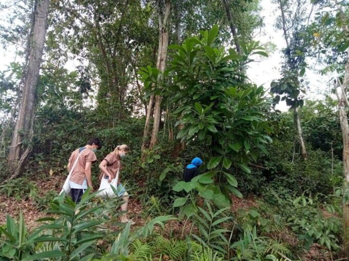 Patong: Ethical Elephant Eco Guide Walk & Forage Tour - Responsible Tourism and Conservation Efforts