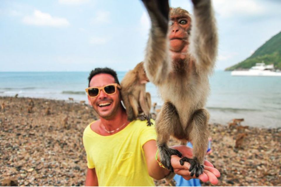 Pattaya: 3 Islands Day Tour on Catamaran With Buffet Lunch - Snorkeling and Wildlife Viewing