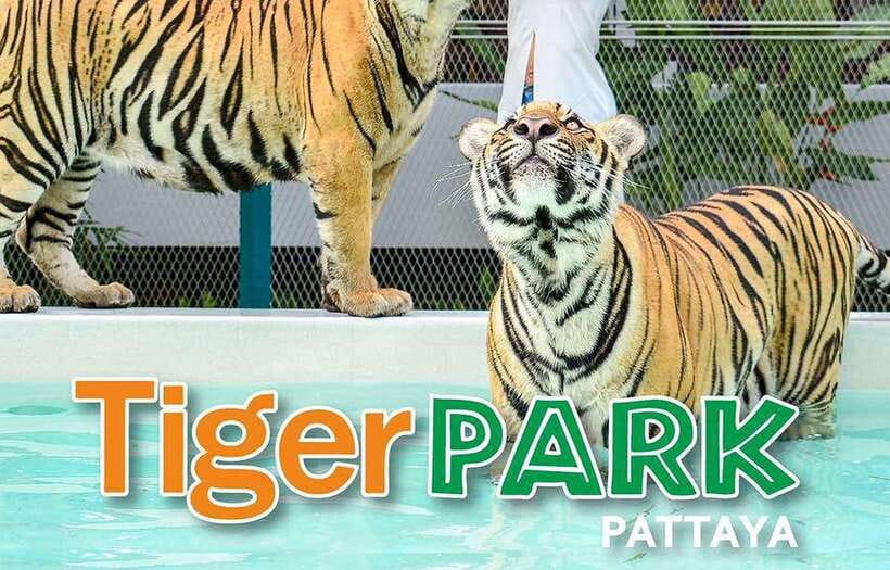 Pattaya Custom Tour Private Car Charter From Bangkok - Inclusions and Exclusions