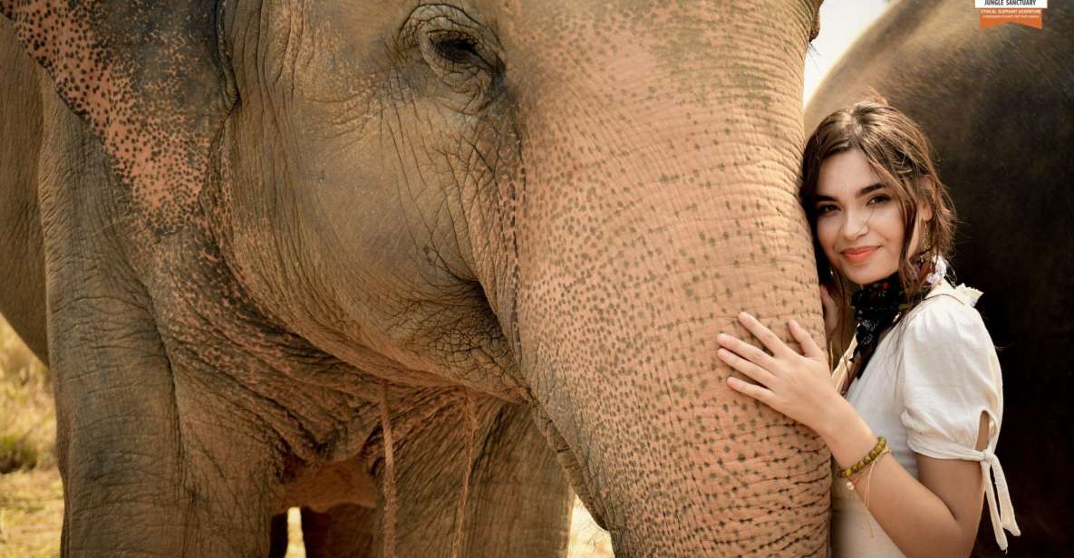 Pattaya: Elephant Jungle Sanctuary Feeding Experience - Key Points