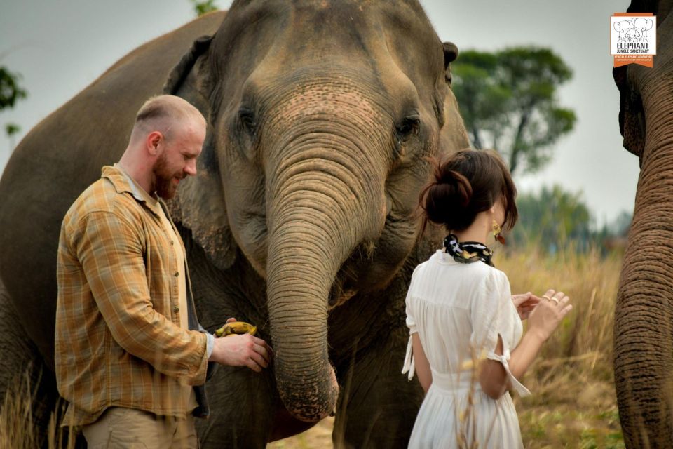 Pattaya: Elephant Jungle Sanctuary Feeding Experience - Learning About Elephant Welfare
