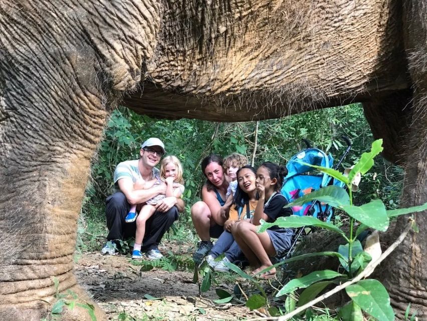 Pattaya: Ethical Elephant Sanctuary Interactive Tour - Important Considerations for Participants