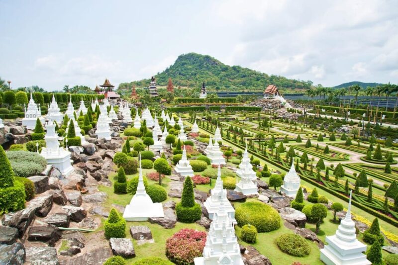 Pattaya Full Day With Private Diver Transportation Only. - Important Information