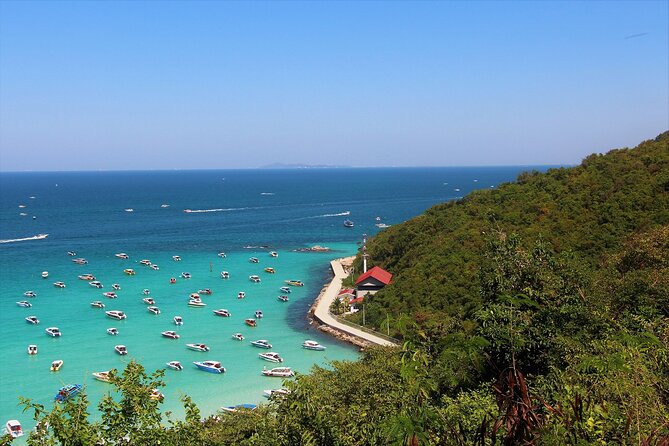 Pattaya Koh Larn Coral Island and Sanctuary of Truth From Bangkok - Additional Information