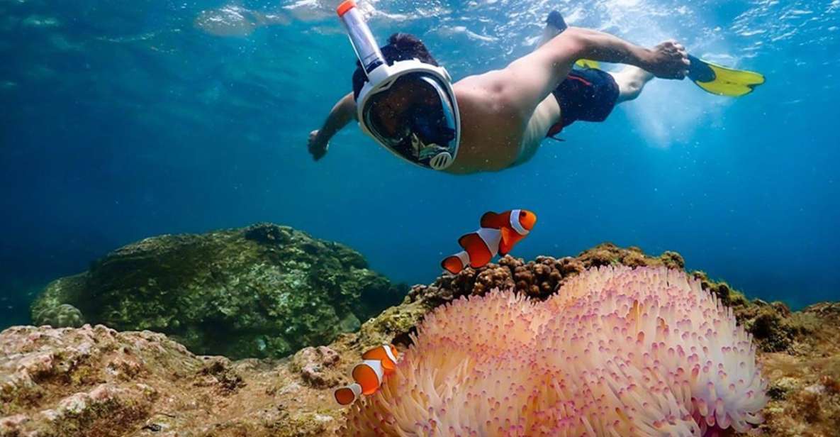 Pattaya: Nemo Island Experience With Drone Photos and Lunch - Itinerary