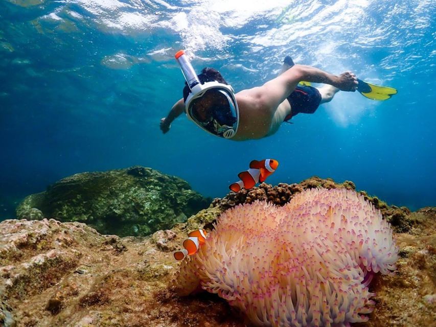 Pattaya: Nemo Island Experience With Drone Photos and Lunch - Snorkeling and Coral Reefs
