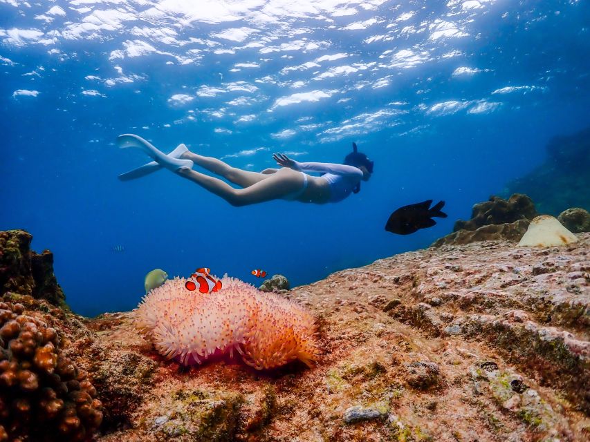 Pattaya: Nemo Island Experience With Drone Photos and Lunch - Inclusions