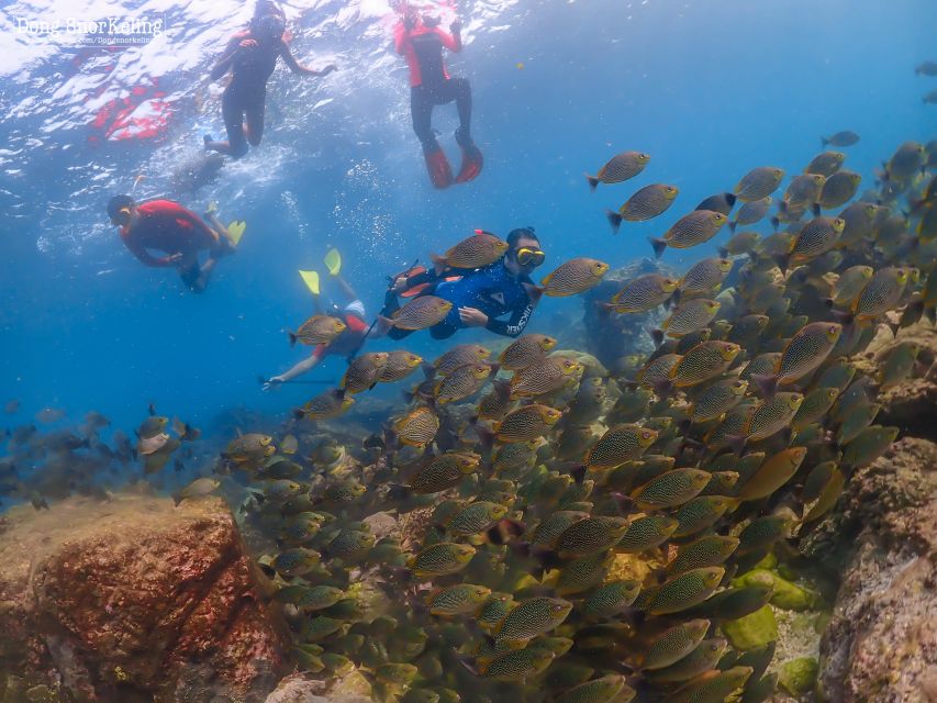 Pattaya: Nemo Island Experience With Drone Photos and Lunch - Exclusions