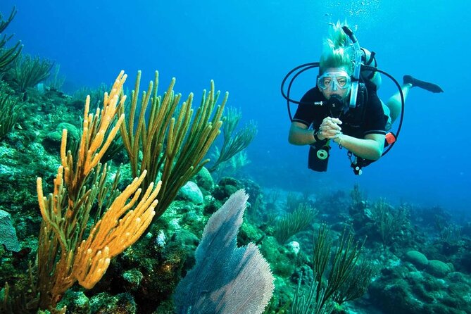 Pattaya PADI Scuba Diving Two Exciting Try Dives With PADI Instructor in Pattaya - Transportation Details