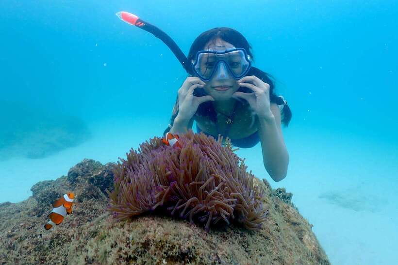 Pattaya: Private Speedboat to Nemo Island With Snorkel & BBQ - Activities and Experiences