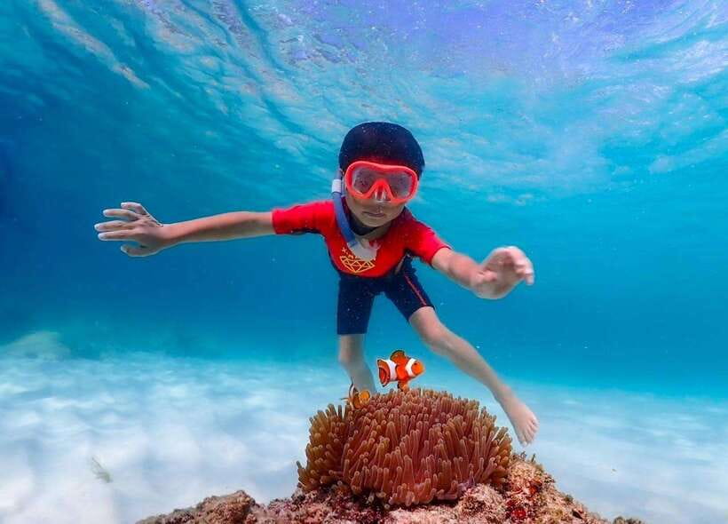Pattaya: Private Speedboat to Nemo Island With Snorkel & BBQ - Important Information