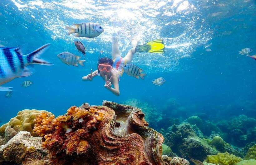 Pattaya: Private Speedboat to Nemo Island With Snorkel & BBQ - Frequently Asked Questions