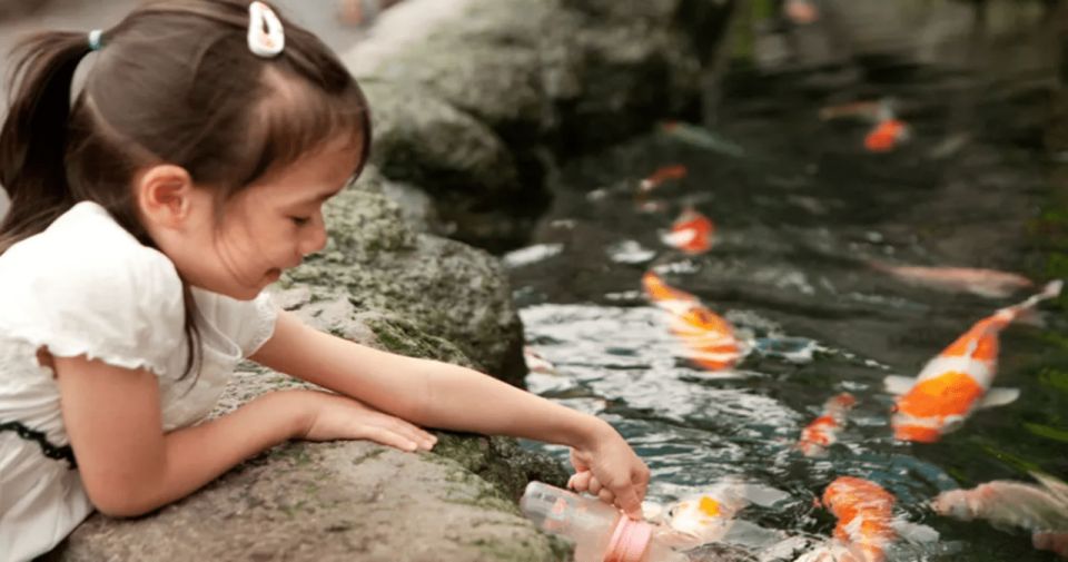 Pattaya: Under Water World - Key Points